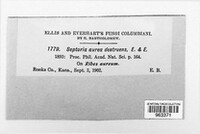 Image Associated With the Occurence